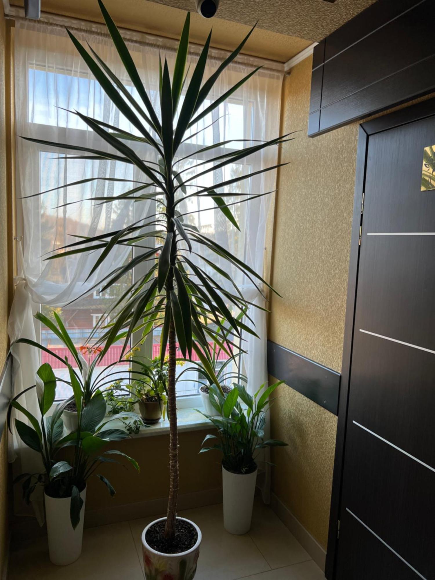 Готель Парк Morshyn Extérieur photo